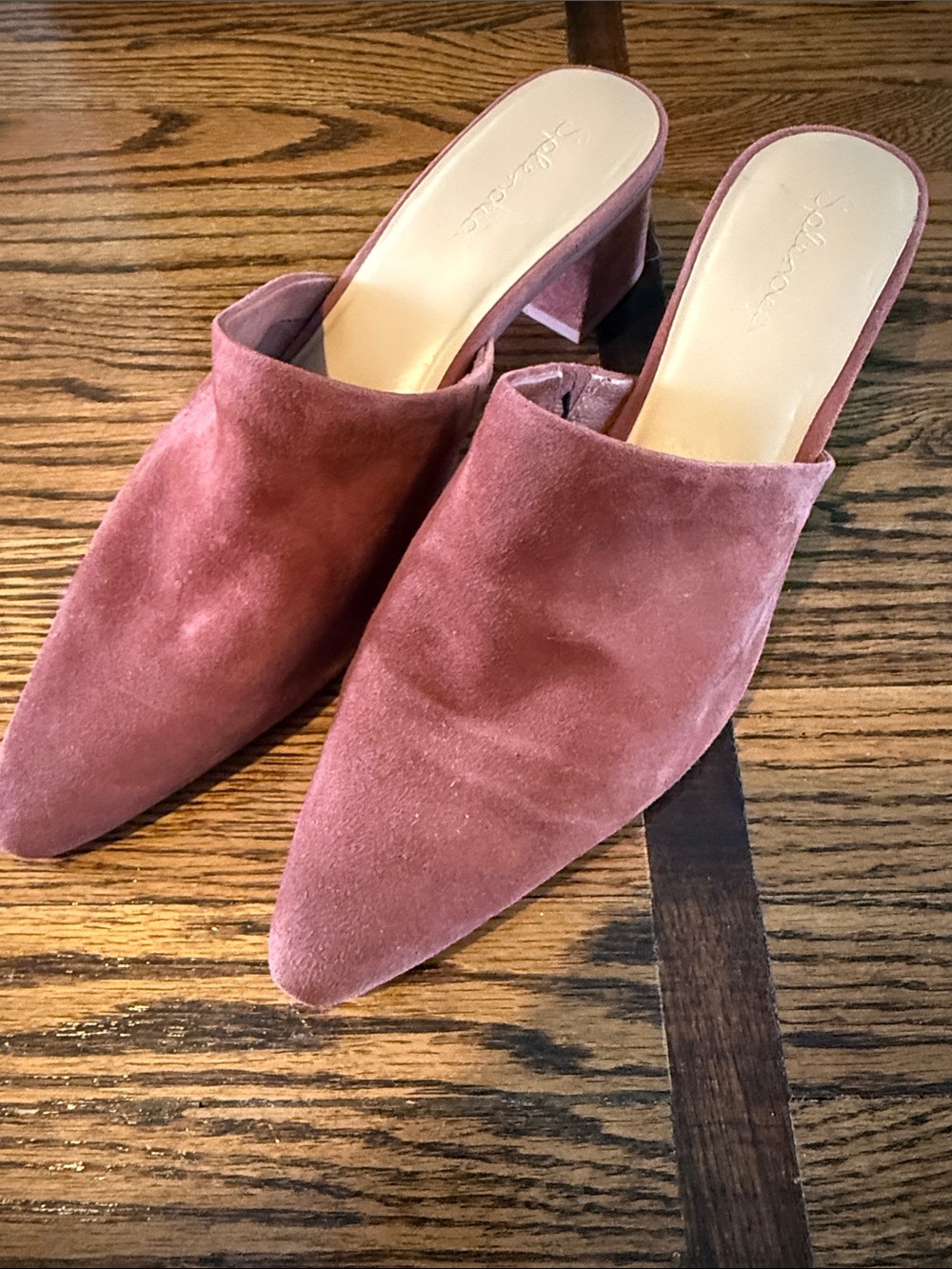 Madewell Suede Pointed-Toe Mule block Heels in chestnut brown - Women 11